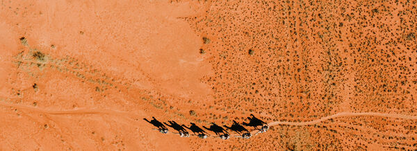 Australian Adventures